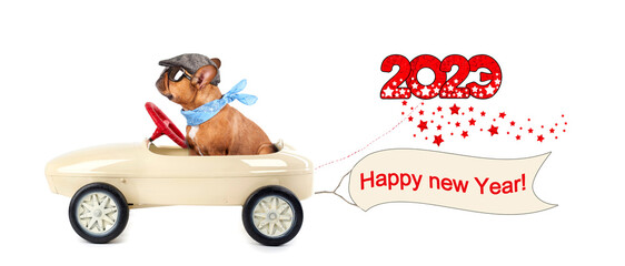 happy new year 2020, cute dog in pedal car with greetings for new year