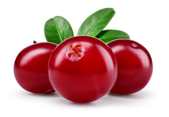 Cranberry with leaves isolated. Cranberries on white background. Three cranberry berries with clipping path. Full depth of field.