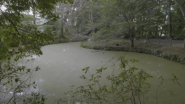 三重 伊雑宮 勾玉池