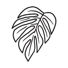 Tropical Plant leaf Doodle icon