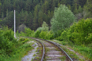 Fototapeta premium railroad in the forest. railroad tracks going around the corner