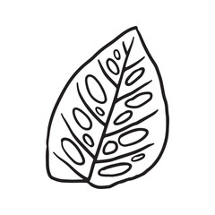 Tropical Plant leaf Doodle icon
