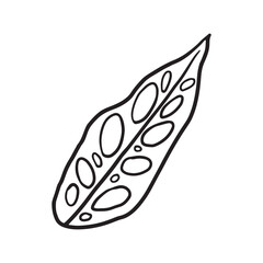Tropical Plant leaf Doodle icon