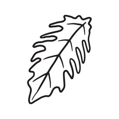 Obraz na płótnie Canvas Tropical Plant leaf Doodle icon