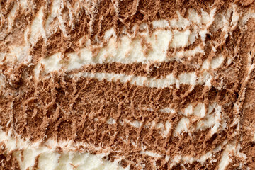 vanilla and chocolate ice cream