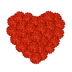 Obraz na płótnie Canvas heart made of red rose petals