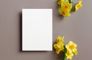 Empty greeting card mockup with yellow daffodils flowers