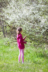 Naklejka na ściany i meble Little girl walks in a spring park with blooming trees