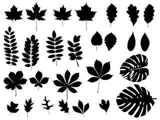 set of leaves