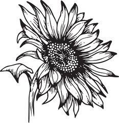Linear sunflower flower. Hand drawn illustration. This art is perfect for invitation cards, spring and summer decor, greeting cards, posters, scrapbooking, print, etc.