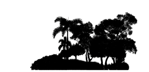 Silhouette tree brush design on transparent .background, illustrations brush brush from real tree with clipping path and alpha channel.