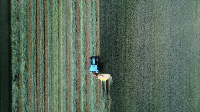 Aerial view of a tractor mowing hay. Bird's eye view