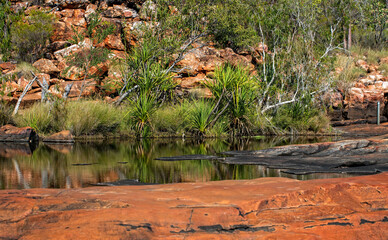 Nature photographer on a hiking trip at the Australian outback at bell gorge billabong on rocky...