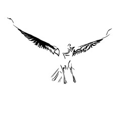 black and white drawing sketch of a bird with a transparent background