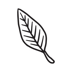 Dry autumn leaf Doodle icon
