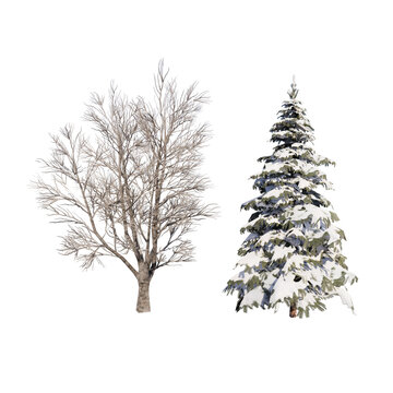 winter or autumn trees 3D render