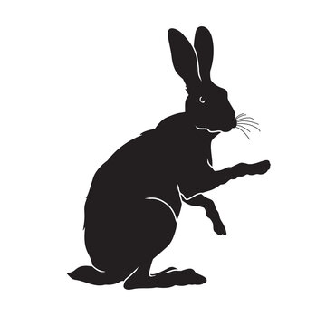 cartoon rabbit vector animal black silhouette.