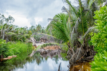 Beautiful nature of the sea tropical landscape. Exotic tropical nature of the Seychelles, a white...