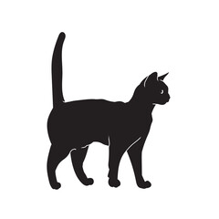 Wild cat vector animal black silhouette.