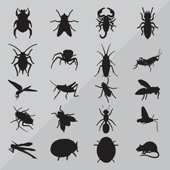 collection of insects