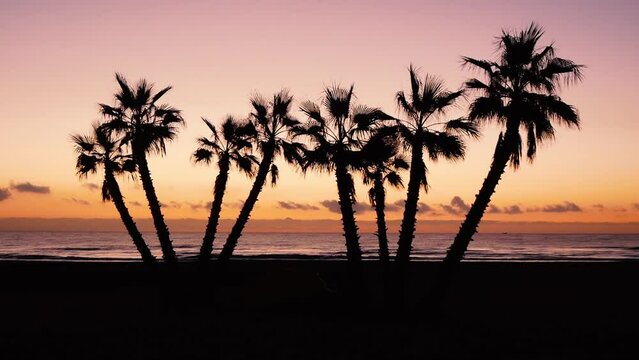 Silhouettes Of Palm Trees On The Background Of A Bright Red Sunset And The Sea