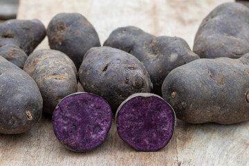 Truffle potato vitelotte, blue violet potatoes (Solanum tuberosum 'Vitelotte')