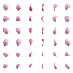 桜の花びら 1枚　セット