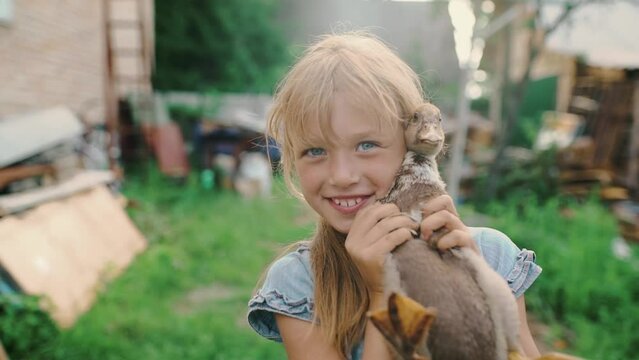 Little girl smiling hugs a little duck