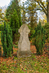 alter Grabstein zwischen grünen Sträuchern auf einem Friedhof in Osnabrück