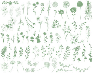手描き線画の花と葉と植物の素材セット