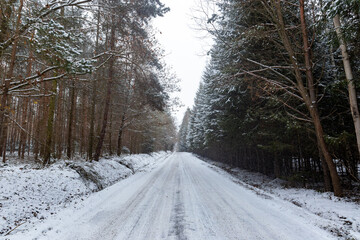 Fototapeta premium Snowy road in winter forest.