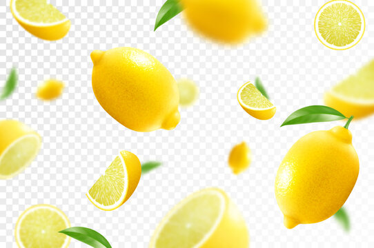 Lemon citrus background. Flying Lemon with green leaf on transparent background. Lemon falling from different angles. Focused and blurry fruits. Realistic 3d vector illustration .