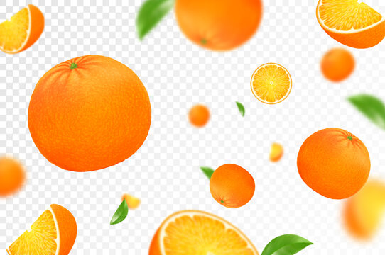 Orange citrus background. Flying orange with green leaf on transparent background. Orange falling from different angles. Focused and blurry objects. Realistic 3d vector illustration