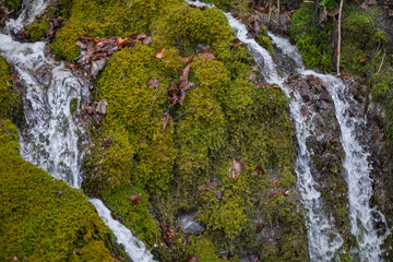 The water flows from the mountain slopes, between the rocks covered with moss.