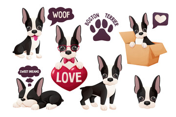Set Cute Boston terrier stickers, cool sweet puppy in cartoon style isolated on white background. Cute dog, print design - obrazy, fototapety, plakaty