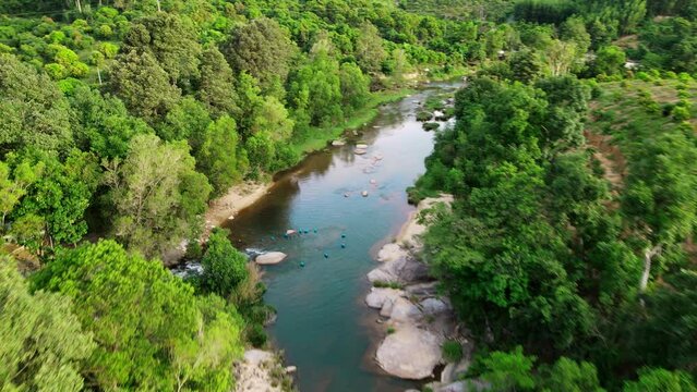 A mountain river in the middle of a green forest with trees and stones on the shore.