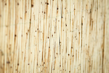 A Beautiful reed fence wall on pyrode background