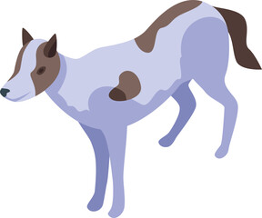 Africa wild dog icon isometric vector. Animal mammal. Safari nature