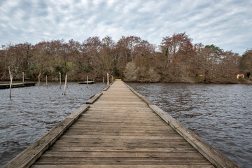 Cais de madeira sobre o rio num dia nublado de inverno com uma floresta ao fundo