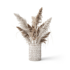 Boho Plants | Isolated Flowers | Flowers | Boho Plants | Boho Decor | Boho Flowers | Dry Flowers | Dried Plants | Dried Flowers | Pampas