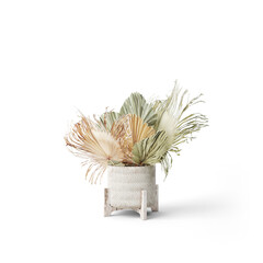 Boho Plants | Isolated Flowers | Flowers | Boho Plants | Boho Decor | Boho Flowers | Dry Flowers | Dried Plants | Dried Flowers | Pampas