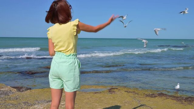 Woman feeding Big flock of white seagulls flying in the blue sky. 4k footage UHD 3840x2160