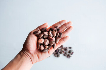 Above the group many brown cocoa beans, and dry cacao beans are in the hands of farmers
