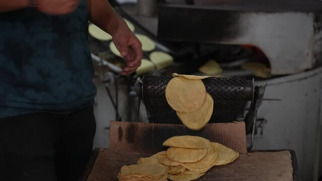Freshly baked tortillas flop off the conveyor belt.