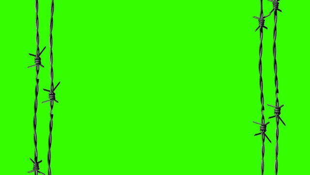 Barbed wire on Green screen. Illegal immigration concept, prison lifestyle, imprisonment, restricted area Green Screen.