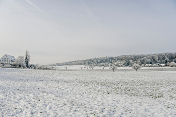 Metzerlen, Mariastein, Winterlandschaft, Winter, Dorf, Landwirtschaft, Felder, Wanderweg, Kloster, Klosterkirche, Metzerlen-Mariastein, Schnee, Eis, Nebel, Winterspaziergang, Schweiz