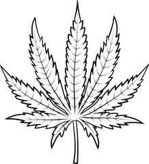 Illustration of a hemp leaf in a hand-drawn style.