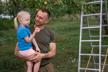 Smiling father holds little daughter in arms in orchard. Family picking apples. Girl eats ripe juicy apple outdoors