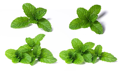 Set of mint leaves organic isolated on white background.