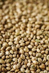 natural hemp seed on black stone background